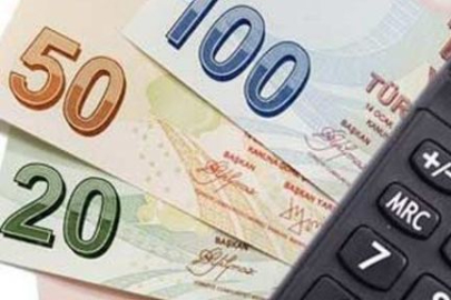 Bakanlığın çalışmaları etkili oldu! Beyanda rekor artış