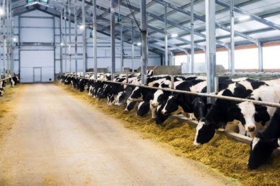 ''Fal, büyü, muska'' operasyonu! Din istismarcıları gözaltına alındı