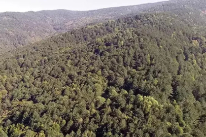 Şırnak'ta Cudi Dağı'na 10 günlük giriş yasağı