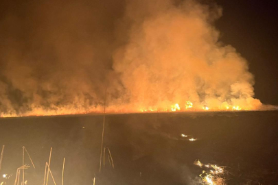 Hakkari'deki Nehil Sazlığı'nda yangın