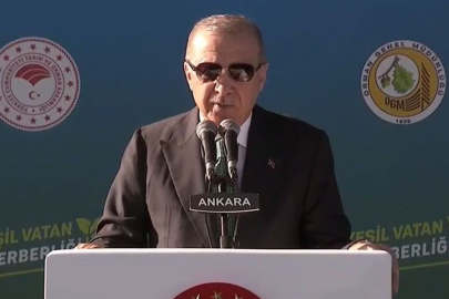 Cumhurbaşkanı Erdoğan'dan ''Yeşil Vatan'' vurgusu: 7.5 milyar fidanı toprakla buluşturduk