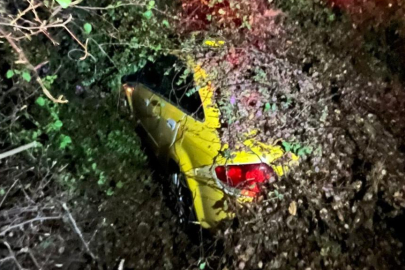 Mersin'de seyir halindeki taksinin üzerine ağaç devrildi