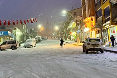 Van'ın yüksek kesimlerinde kar etkili oldu