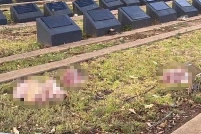 Avustralya'nın Sydney kentinde Müslüman mezarlığına domuz kafaları bırakıldı