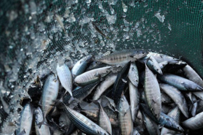 Dost ülkeyle imzalar atıldı: Dünyanın en zengin rezervlerine erişilecek