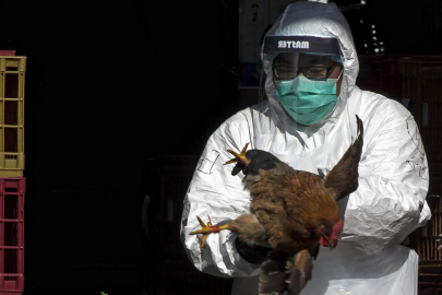 Bilim insanlarından kuş gribinin insanlara yayılımına dair kritik uyarı