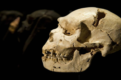 Korku filmi değil: Evinden 100'den fazla insan kafatası çıktı