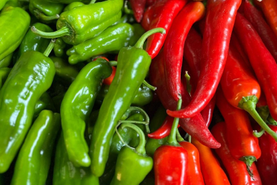 Batı Akdeniz'in ihracat şampiyonu biber oldu