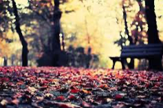 Kış depresyonu hangi belirtilerle ortaya çıkıyor?