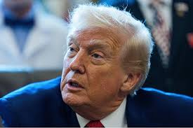 Trump Rutte görüşmesi sonrası Grönland için çerçeve mesajı