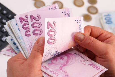 Çiftçilerin hesaplarına yansıyan destek kalemleri netleşti