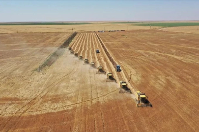 Tarımsal destek ödemelerinde 94,2 milyon lira çiftçilere aktarılıyor