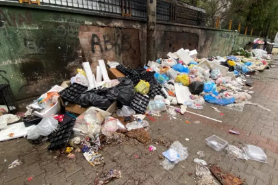 CHP'li belediyeye 'çöp dağları' isyanı... ''Sinek ve fareler basıyor''