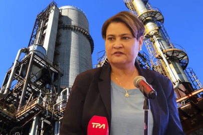 Potansiyelleri var, becerileri yok! Krohne: Türkiye'nin sürece dahil olmasına ihtiyacımız var