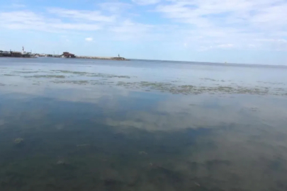 CHP'li yönetimden çevre katliamı... Atık suyu denize boşalttılar