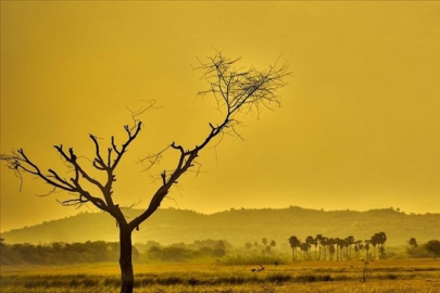 Geri dönüşü olmayan nokta: Bilim insanları "sera dünya" riskine karşı uyarıyor
