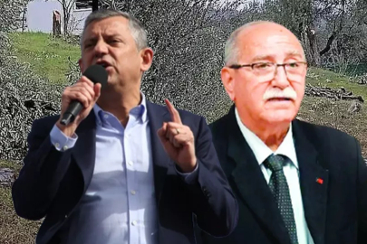 Milas'ta rant rezaleti... CHP'nin ağaç katliamında hülle taktiği çıktı