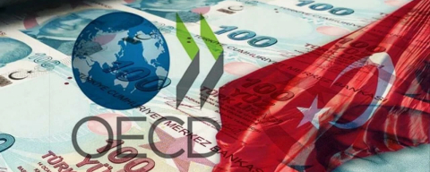OECD'e Türkiye damgası! En hızlı büyüyen 3'üncü ekonomisi oldu