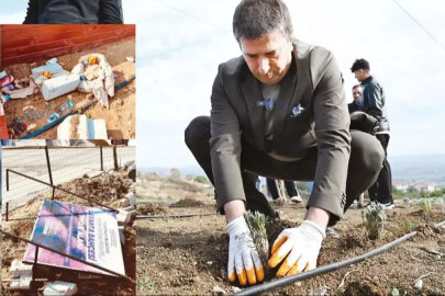 Yine CHP, yine hüsran! Lavanta şovu çalılıkla bitti