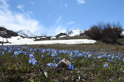 Türkiye'de, son 56 yılın en sıcak 3'üncü şubat ayı yaşandı