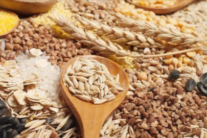 Güneydoğu Anadolu'dan 2 ayda 552,8 milyon dolarlık hububat ihracatı