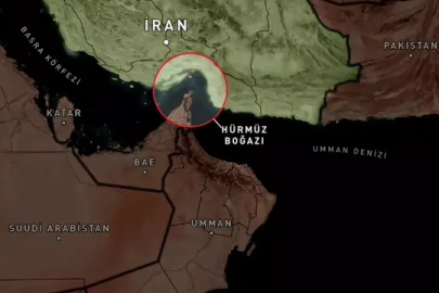 Ünlü profesörden ülkesine Hürmüz uyarısı