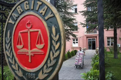 Yargıtay son noktayı koydu! Başıboş bırakılan köpeğin sahibine 2 milyonluk fatura