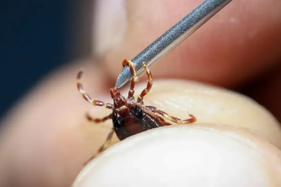 Sivas'ta KKKA hastalığı alarmı! 21 yaşındaki gençten acı haber geldi