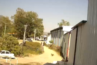 Bursa'da silahlı saldırıda genç avukat hayatını kaybetti