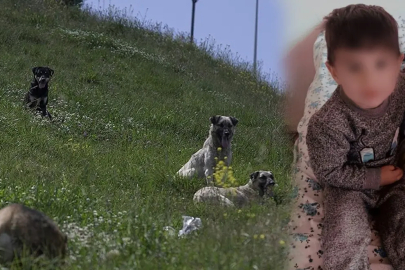 Bakan Çiftçi talimat verdi: İhmali olanlardan hesap sorulacak