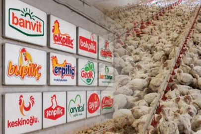 Fiyat tekeli müfettiş raporunda! Kanatlı vurgun bitti