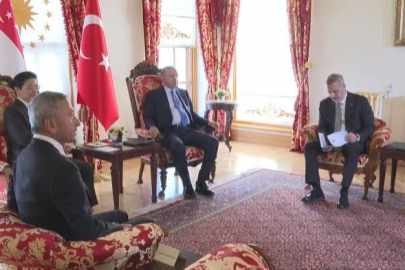 Cumhurbaşkanı Erdoğan, Singapur Başbakanı Wong'u kabul etti