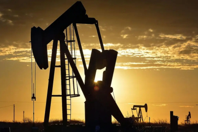 3 ili kapsıyor! 57 bin 230 hektarlık sahaya petrol arama ruhsatı