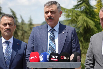 Sokaklar artık daha güvenli! Bakan Çiftçi duyurdu: Hayvanların yüzde 92'si toplandı