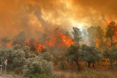 5 ildeki orman yangınlarında 92 bağımsız bölüm hasar gördü