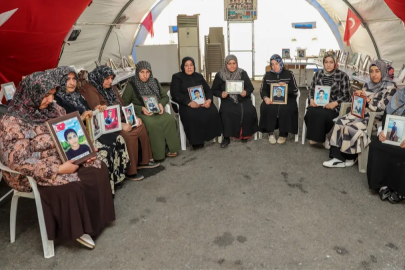 Diyarbakır annelerinde kanun teklifi heyecanı! Erdoğan ve Bahçeli'ye teşekkür