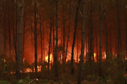 Fransa'nın Landes vilayetindeki orman yangınında 1100 hektarlık alan küle döndü