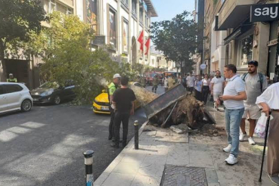 Teşvikiye Caddesi’nde çınar ağacı araçlara düştü