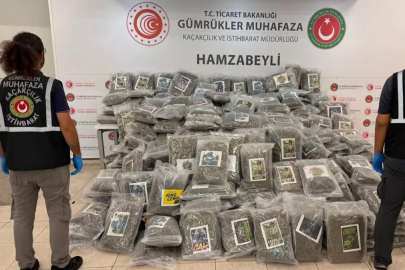Tırda yaklaşık 288 kilogram esrar ele geçirildi