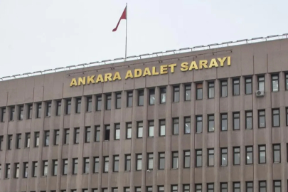 Belediyelerin ve valiliğin itirazı reddedildi! Köpek ısıran öğrenciye tazminat ödenecek
