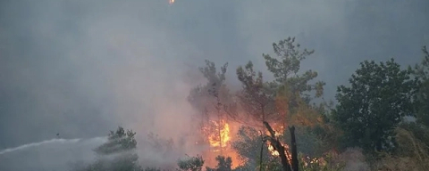 Fethiye’de orman yangını yerleşim alanlarına yaklaştı