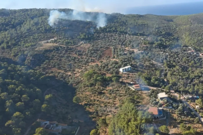 Kaş'ta orman yangını: Havadan ve karadan müdahale başladı
