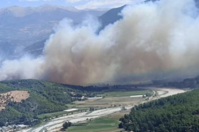 Orman yangınlarıyla ilgili 15 tutuklama